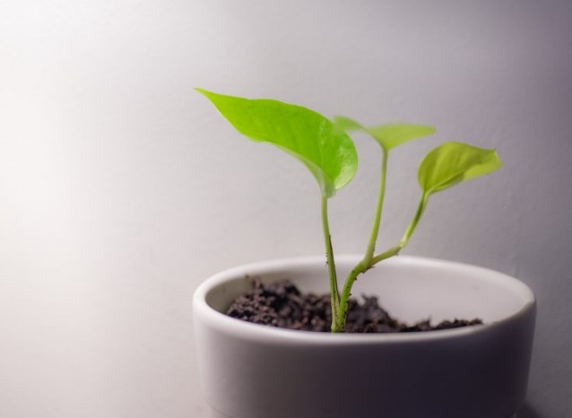 「ESG」ってなんのこと?