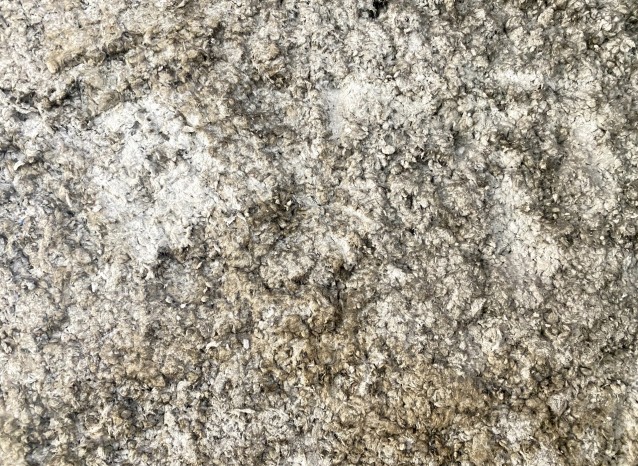 2022年4月1日〜石綿事前調査報告義務化!ポイントを解説!